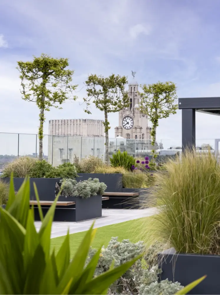 Brentford FC view from Apo Kew Bridge