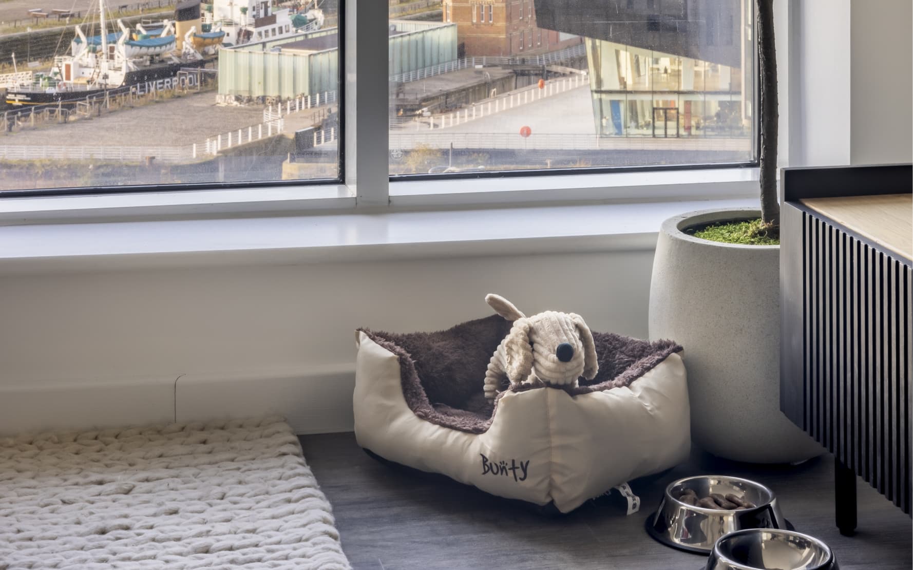 a dog bed on floor in a one bed apartment