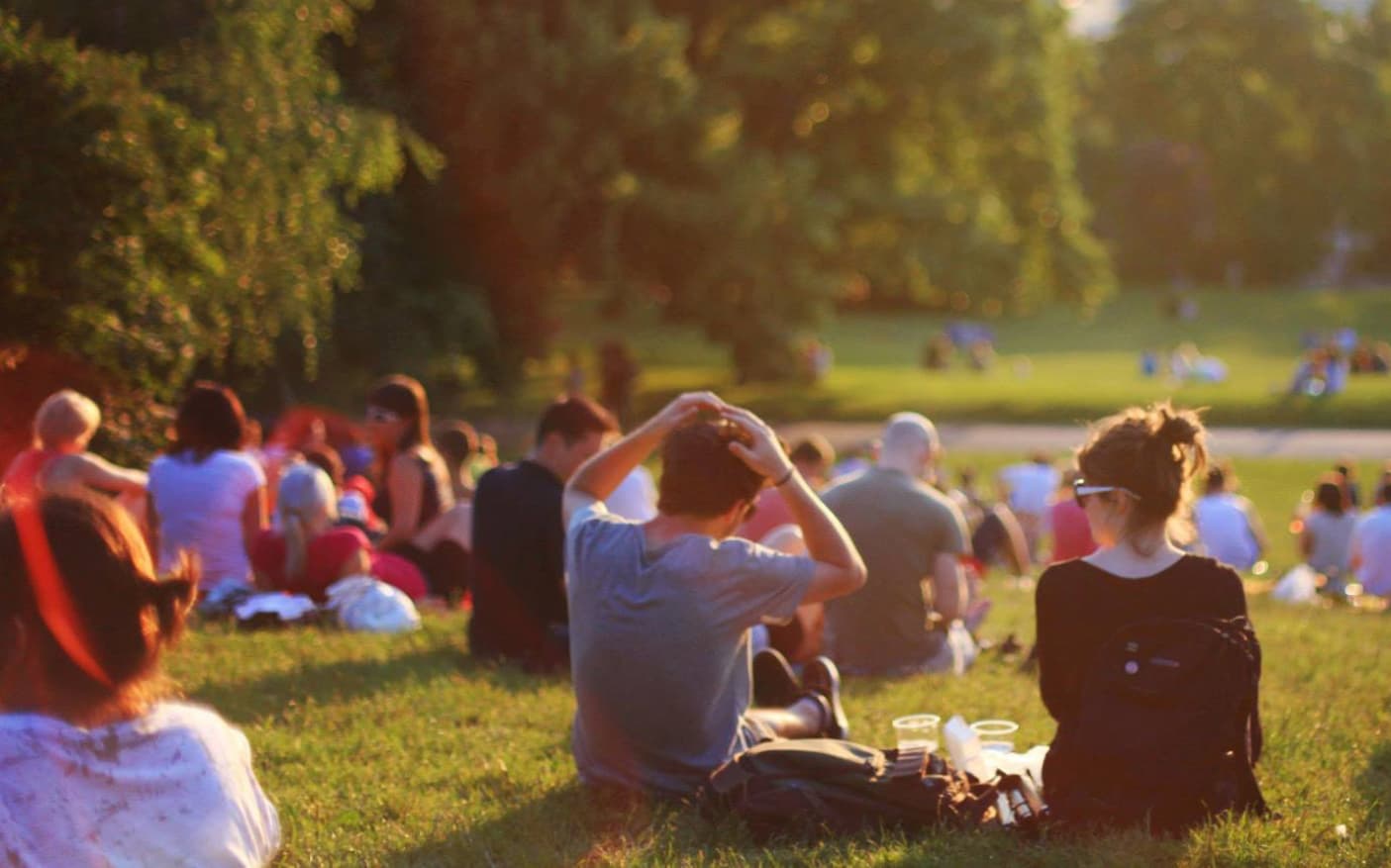 people enjoying a picnic in a park