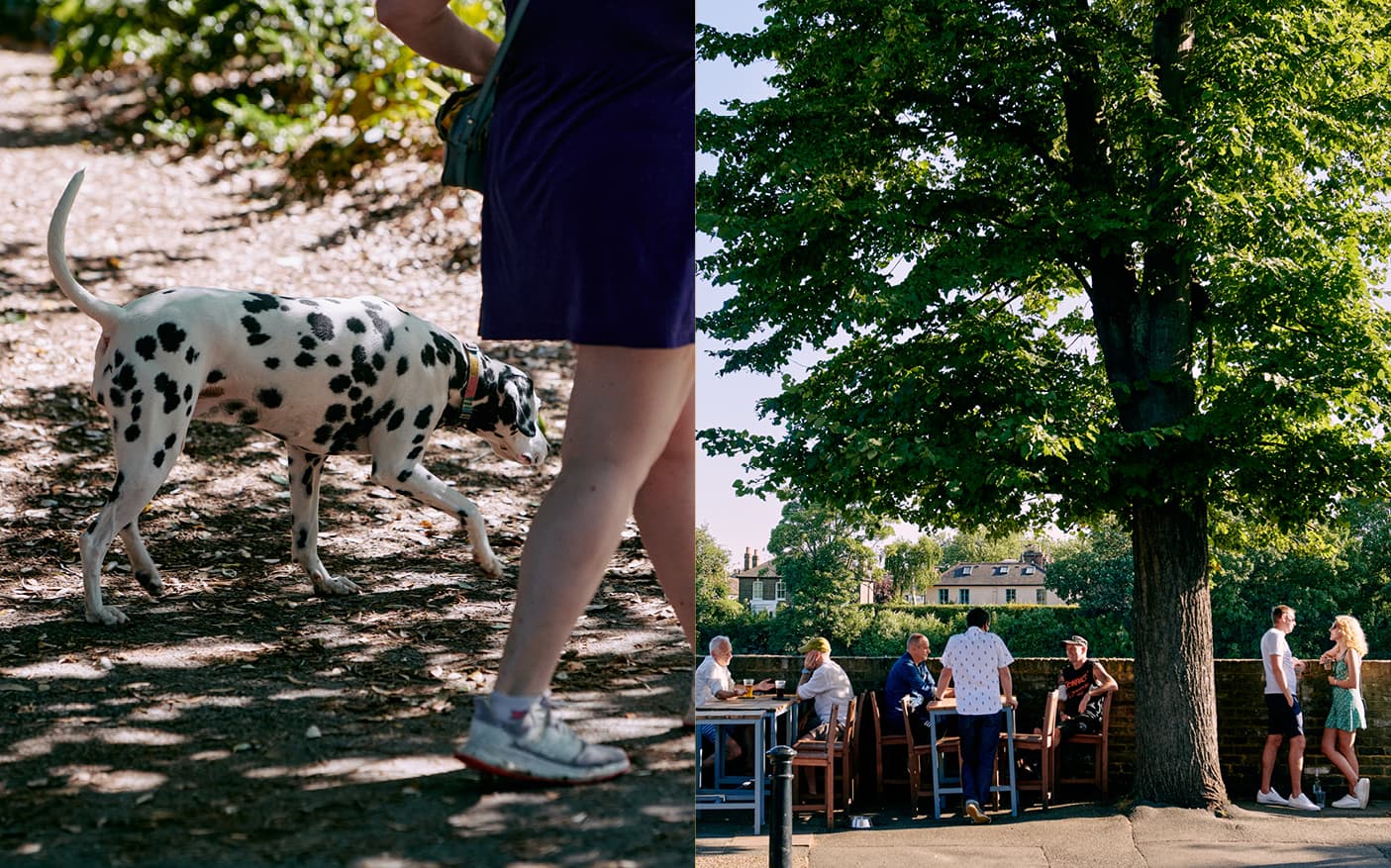 Dog being walked in park and people lounging by the river